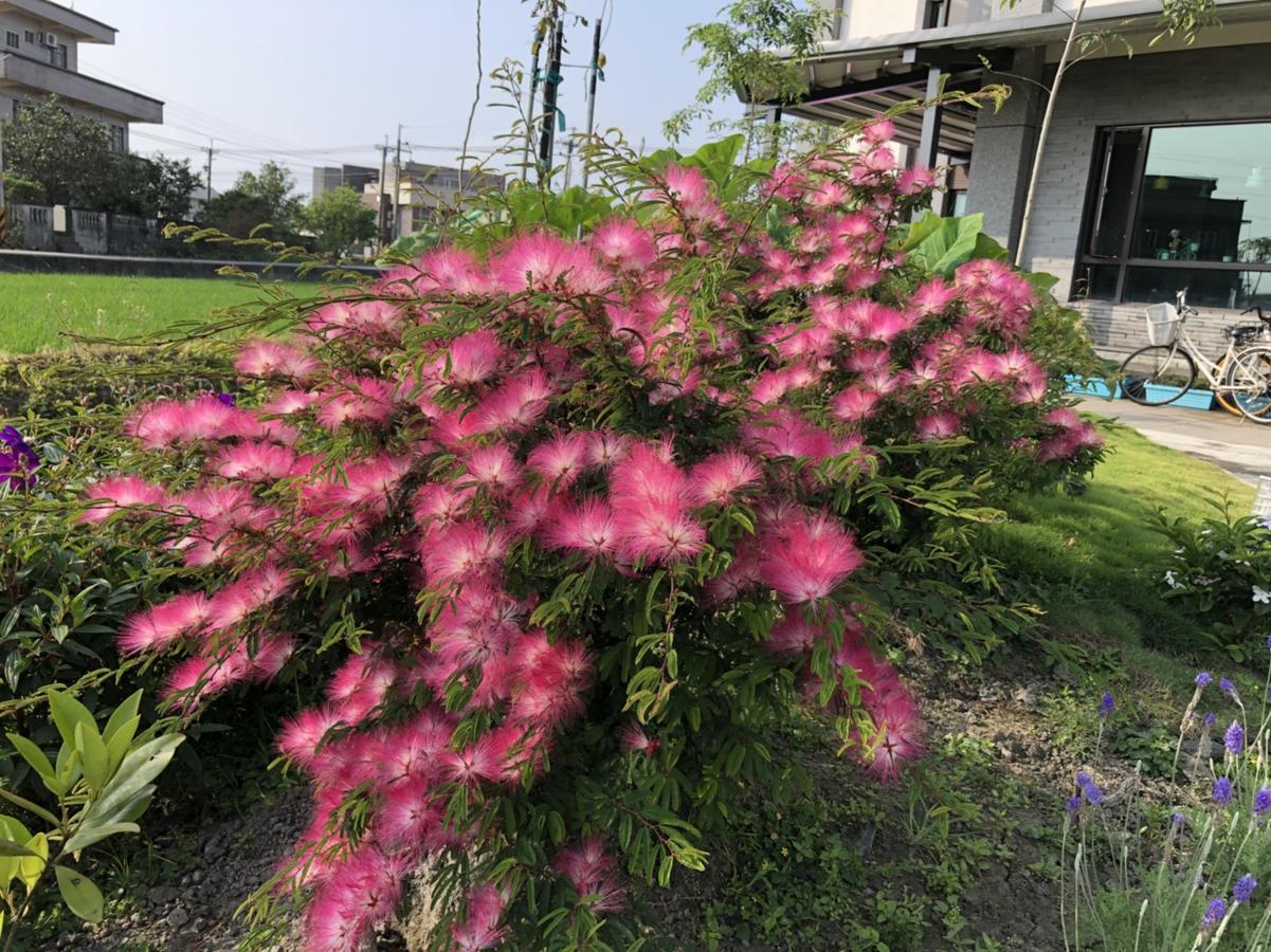 Early Summer Luodong Dış mekan fotoğraf